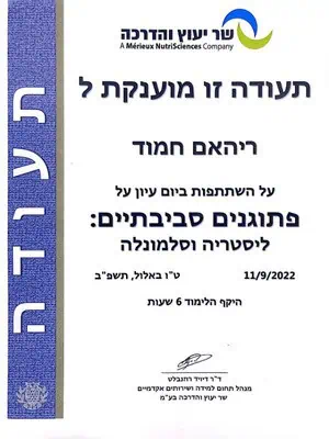 עיצוב ללא שם (29)